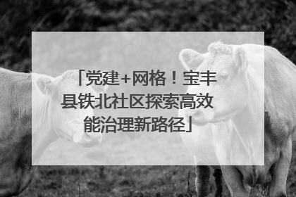 党建+网格！宝丰县铁北社区探索高效能治理新路径