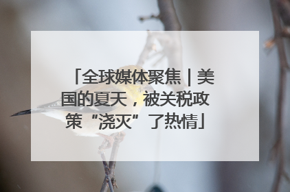 全球媒体聚焦｜美国的夏天，被关税政策“浇灭”了热情