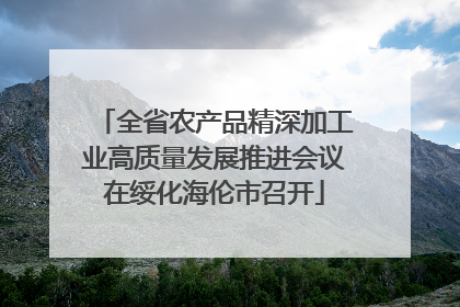 全省农产品精深加工业高质量发展推进会议在绥化海伦市召开