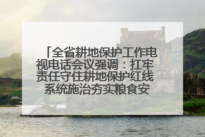 全省耕地保护工作电视电话会议强调：扛牢责任守住耕地保护红线 系统施治夯实粮食安全根基 王宁作出批示 王予波出席并讲话