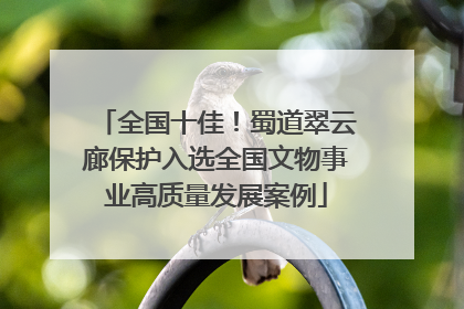 全国十佳！蜀道翠云廊保护入选全国文物事业高质量发展案例