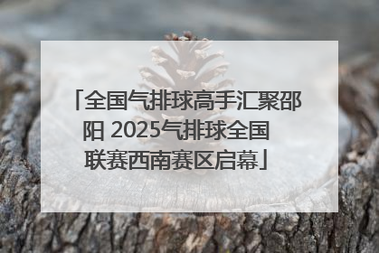 全国气排球高手汇聚邵阳 2025气排球全国联赛西南赛区启幕