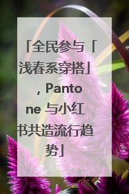 全民参与「浅春系穿搭」，Pantone 与小红书共造流行趋势