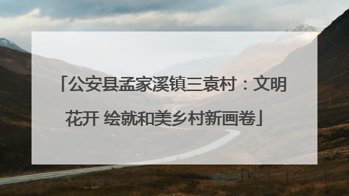公安县孟家溪镇三袁村：文明花开 绘就和美乡村新画卷