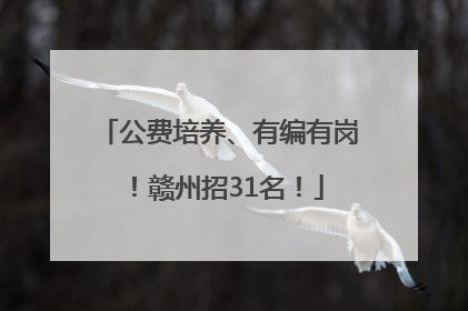 公费培养、有编有岗！赣州招31名！