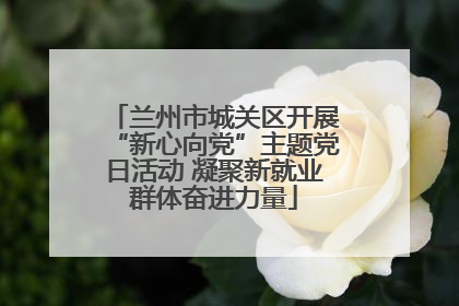 兰州市城关区开展“新心向党”主题党日活动 凝聚新就业群体奋进力量