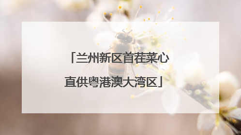 兰州新区首茬菜心直供粤港澳大湾区