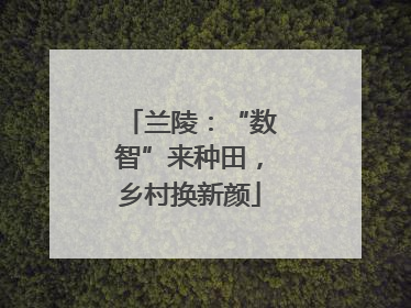 兰陵：“数智”来种田，乡村换新颜