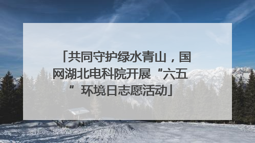 共同守护绿水青山，国网湖北电科院开展“六五”环境日志愿活动