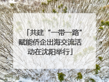 共建“一带一路”赋能侨企出海交流活动在沈阳举行