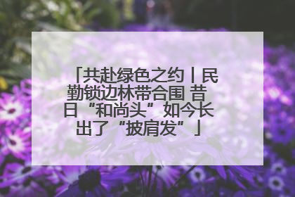 共赴绿色之约丨民勤锁边林带合围 昔日“和尚头”如今长出了“披肩发”