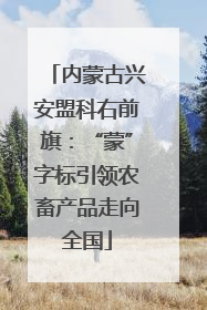 内蒙古兴安盟科右前旗：“蒙”字标引领农畜产品走向全国