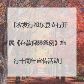 农发行祁东县支行开展《存款保险条例》施行十周年宣传活动