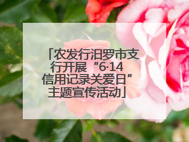 农发行汨罗市支行开展“6·14信用记录关爱日”主题宣传活动