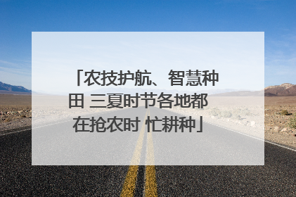 农技护航、智慧种田 三夏时节各地都在抢农时 忙耕种