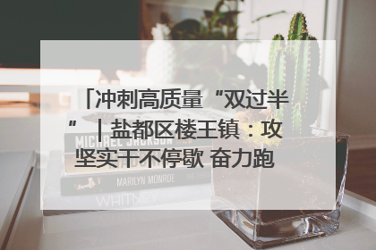冲刺高质量“双过半”｜盐都区楼王镇：攻坚实干不停歇 奋力跑赢“上半场”