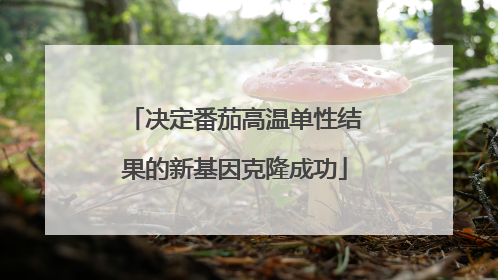 决定番茄高温单性结果的新基因克隆成功