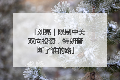 刘亮｜限制中美双向投资，特朗普断了谁的路