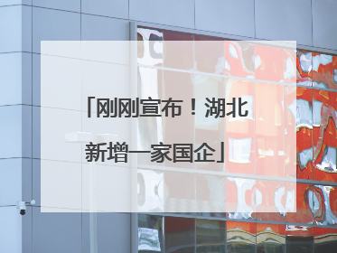 刚刚宣布！湖北新增一家国企