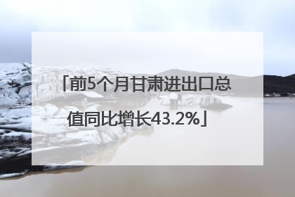 前5个月甘肃进出口总值同比增长43.2%