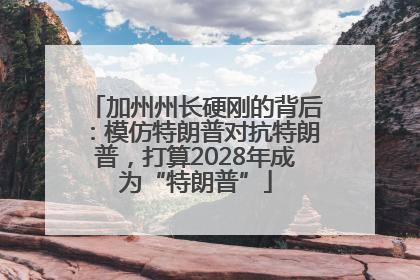 加州州长硬刚的背后：模仿特朗普对抗特朗普，打算2028年成为“特朗普”