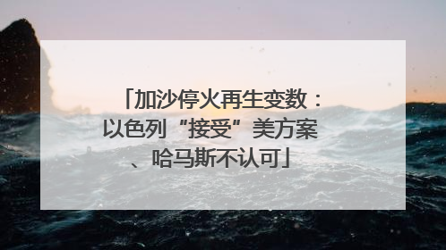 加沙停火再生变数：以色列“接受”美方案、哈马斯不认可