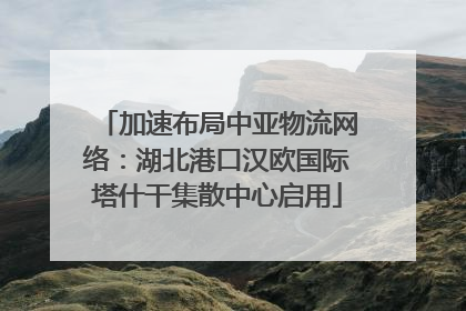 加速布局中亚物流网络：湖北港口汉欧国际塔什干集散中心启用