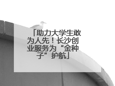 助力大学生敢为人先！长沙创业服务为“金种子”护航