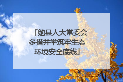 勉县人大常委会多措并举筑牢生态环境安全底线