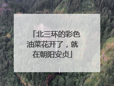 北三环的彩色油菜花开了，就在朝阳安贞