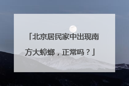 北京居民家中出现南方大蟑螂，正常吗？