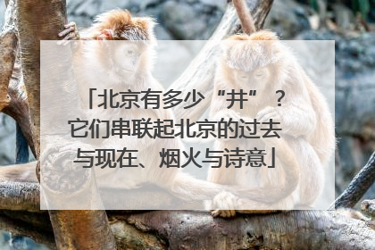 北京有多少“井”？它们串联起北京的过去与现在、烟火与诗意