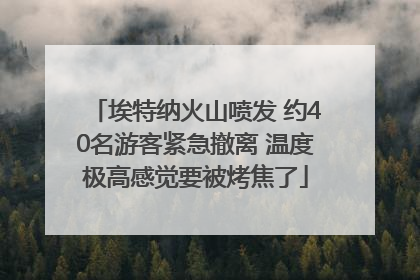 埃特纳火山喷发 约40名游客紧急撤离 温度极高感觉要被烤焦了