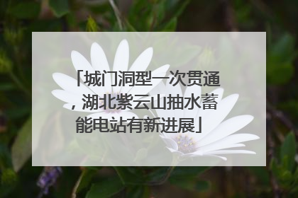 城门洞型一次贯通，湖北紫云山抽水蓄能电站有新进展