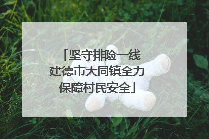 坚守排险一线 建德市大同镇全力保障村民安全
