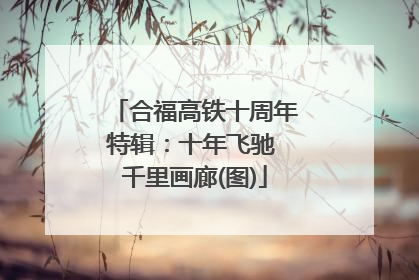 合福高铁十周年特辑：十年飞驰 千里画廊(图)