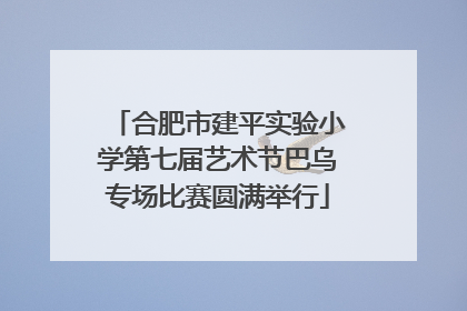 合肥市建平实验小学第七届艺术节巴乌专场比赛圆满举行
