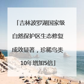 吉林波罗湖国家级自然保护区生态修复成效显著，珍稀鸟类10年增加5倍