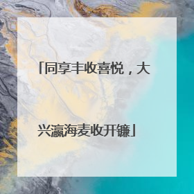 同享丰收喜悦，大兴瀛海麦收开镰