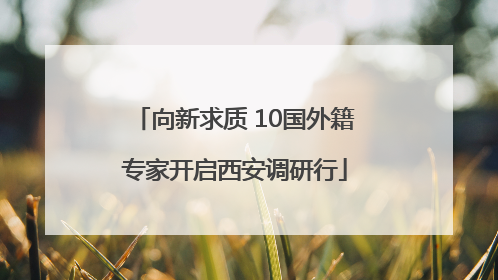 向新求质 10国外籍专家开启西安调研行