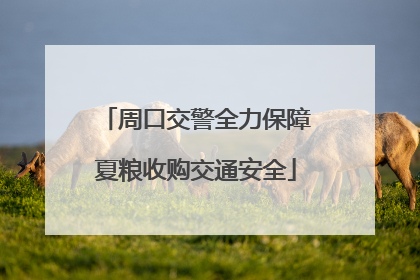 周口交警全力保障夏粮收购交通安全