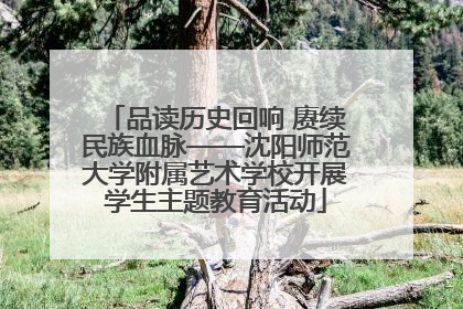 品读历史回响 赓续民族血脉——沈阳师范大学附属艺术学校开展学生主题教育活动