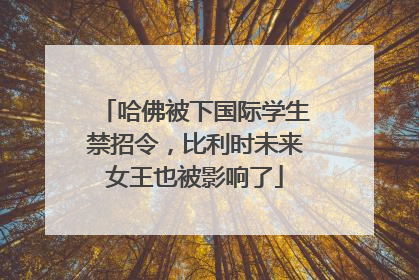 哈佛被下国际学生禁招令，比利时未来女王也被影响了