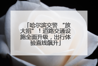 哈尔滨交警 “放大招”！道路交通设施全面升级，出行体验直线飙升
