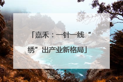 嘉禾：一针一线“绣”出产业新格局