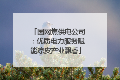 国网焦供电公司：优质电力服务赋能凉皮产业飘香