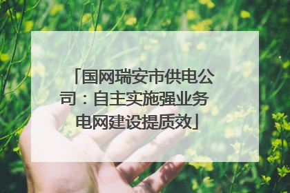 国网瑞安市供电公司：自主实施强业务 电网建设提质效