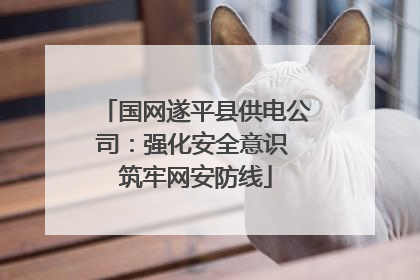 国网遂平县供电公司：强化安全意识 筑牢网安防线