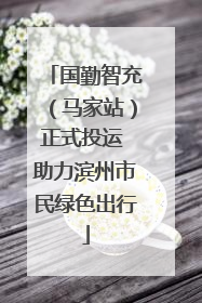 国勤智充（马家站）正式投运 助力滨州市民绿色出行