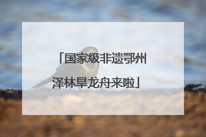 国家级非遗鄂州泽林旱龙舟来啦